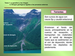 Tema 7. La geosfera y los riesgos 8. Riesgos geológicos ligados a los procesos externos Son cursos de agua con cauce fijo y caudal estacional. Erosionan el fondo del cauce, principalmente en la cuenca de recepción, y transportan los materiales por el canal de desagüe hasta que se sedimentan en el con de deyección, donde forman los depósitos de piedemonte. Torrentes cuenca  de recepción canal de desagüe cono de deyección 