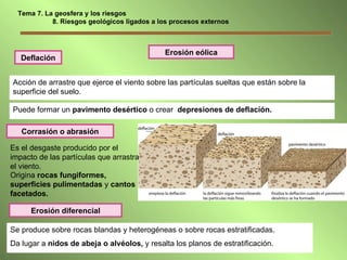 Erosión eólica Puede formar un  pavimento desértico  o crear  depresiones de deflación. Acción de arrastre que ejerce el viento sobre las partículas sueltas que están sobre la superficie del suelo. Deflación Corrasión o abrasión Es el desgaste producido por el impacto de las partículas que arrastra el viento. Erosión diferencial Se produce sobre rocas blandas y heterogéneas o sobre rocas estratificadas. Da lugar a  nidos de abeja o alvéolos,  y resalta los planos de estratificación. Origina  rocas fungiformes, superficies pulimentadas  y  cantos facetados. Tema 7. La geosfera y los riesgos   8. Riesgos geológicos ligados a los procesos externos 