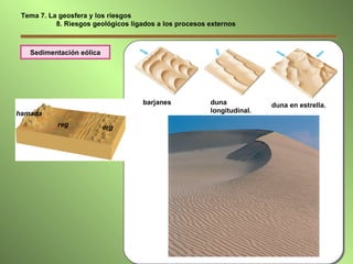 Sedimentación eólica hamada reg erg barjanes  duna  longitudinal. duna en estrella. Tema 7. La geosfera y los riesgos   8. Riesgos geológicos ligados a los procesos externos 