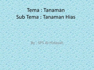 Tema : Tanaman
Sub Tema : Tanaman Hias
By : SPS Al-Hidayah
 