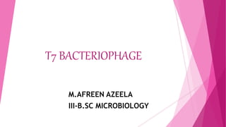 T7 BACTERIOPHAGE
M.AFREEN AZEELA
III-B.SC MICROBIOLOGY
 