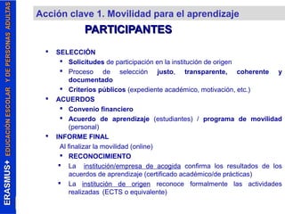 Acción clave 1. Movilidad para el aprendizaje 
PPAARRTTIICCIIPPAANNTTEESS 
 SELECCIÓN 
 Solicitudes de participación en la institución de origen 
 Proceso de selección justo, transparente, coherente y 
documentado 
 Criterios públicos (expediente académico, motivación, etc.) 
 ACUERDOS 
 Convenio financiero 
 Acuerdo de aprendizaje (estudiantes) / programa de movilidad 
(personal) 
 INFORME FINAL 
Al finalizar la movilidad (online) 
 RECONOCIMIENTO 
 La institución/empresa de acogida confirma los resultados de los 
acuerdos de aprendizaje (certificado académico/de prácticas) 
 La institución de origen reconoce formalmente las actividades 
realizadas (ECTS o equivalente) 
 
