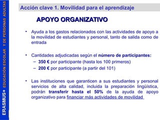 Acción clave 1. Movilidad para el aprendizaje 
AAPPOOYYOO OORRGGAANNIIZZAATTIIVVOO 
• Ayuda a los gastos relacionados con las actividades de apoyo a 
la movilidad de estudiantes y personal, tanto de salida como de 
entrada 
• Cantidades adjudicadas según el número de participantes: 
– 350 € por participante (hasta los 100 primeros) 
– 200 € por participante (a partir del 101) 
• Las instituciones que garanticen a sus estudiantes y personal 
servicios de alta calidad, incluida la preparación lingüística, 
podrán transferir hasta el 50% de la ayuda de apoyo 
organizativo para financiar más actividades de movilidad 
 