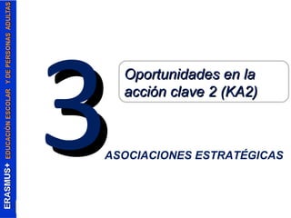 33OOppoorrttuunniiddaaddeess eenn llaa 
aacccciióónn ccllaavvee 22 ((KKAA22)) 
ASOCIACIONES ESTRATÉGICAS 
 