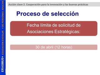 Acción clave 2. Cooperación para la innovación y las buenas prácticas 
Proceso de selección 
 