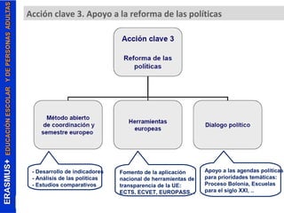 Acción clave 3. Apoyo a la reforma de las políticas 
- Desarrollo de indicadores 
- Análisis de las políticas 
- Estudios comparativos 
Apoyo a las agendas políticas 
para prioridades temáticas: 
Proceso Bolonia, Escuelas 
para el siglo XXI, .. 
Fomento de la aplicación 
nacional de herramientas de 
transparencia de la UE: 
ECTS, ECVET, EUROPASS… 
 