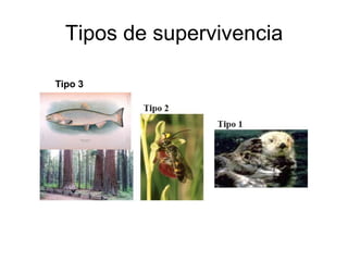Tipos de supervivencia
Tipo 3
 