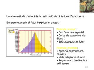 111
Un altre mètode d’estudi és la realització de piràmides d’edat i sexe.
Ens permet predir el futur i explicar el passat.
Piràmide normal:
• Cap fenomen especial
• Corba de supervivència
Tipus I.
• Està assegurat el futur
Piràmide invertida:
• Aparició depredadors,
paràsits.
• Mala adaptació al medi
• Regressiva o tendència a
extingir-se
 