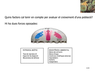 114
Quins factors cal tenir en compte per avaluar el creixement d’una població?
Hi ha dues forces oposades:
 