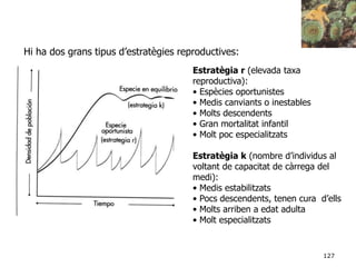 127
Hi ha dos grans tipus d’estratègies reproductives:
Estratègia r (elevada taxa
reproductiva):
• Espècies oportunistes
• Medis canviants o inestables
• Molts descendents
• Gran mortalitat infantil
• Molt poc especialitzats
Estratègia k (nombre d’individus al
voltant de capacitat de càrrega del
medi):
• Medis estabilitzats
• Pocs descendents, tenen cura d’ells
• Molts arriben a edat adulta
• Molt especialitzats
 