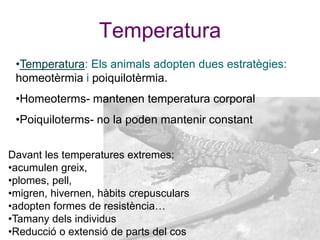 •Temperatura: Els animals adopten dues estratègies:
homeotèrmia i poiquilotèrmia.
•Homeoterms- mantenen temperatura corporal
•Poiquiloterms- no la poden mantenir constant
Davant les temperatures extremes:
•acumulen greix,
•plomes, pell,
•migren, hivernen, hàbits crepusculars
•adopten formes de resistència…
•Tamany dels individus
•Reducció o extensió de parts del cos
Temperatura
 