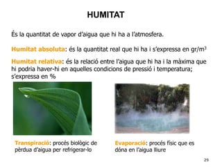 29
HUMITAT
És la quantitat de vapor d’aigua que hi ha a l’atmosfera.
Humitat absoluta: és la quantitat real que hi ha i s’expressa en gr/m3
Humitat relativa: és la relació entre l’aigua que hi ha i la màxima que
hi podria haver-hi en aquelles condicions de pressió i temperatura;
s’expressa en %
Transpiració: procés biològic de
pèrdua d’aigua per refrigerar-lo
Evaporació: procés físic que es
dóna en l’aigua lliure
 