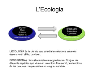 L’Ecologia
Relacions abiòtiques
BIOTOP
Medi
Substrat
Factors fq.
Relacions biòtiques
BIOCENOSI
Poblacions
Comunitat
L’ECOLOGIA és la ciència que estudia les relacions entre els
èssers vius i el lloc on viuen.
ECOSISTEMA ( oikos (lloc) sistema (organització): Conjunt de
diferents espècies que viuen en un entorn físic comú, les funcions
de les quals es complementen en un grau variable
 