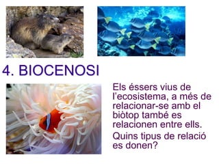 4. BIOCENOSI
Els éssers vius de
l’ecosistema, a més de
relacionar-se amb el
biòtop també es
relacionen entre ells.
Quins tipus de relació
es donen?
 