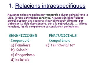 1. Relacions intraespecífiques
Aquestes relacions poden ser temporals o durar gairebé tota la
vida, llavors s’anomenen perennes. Algunes són beneficioses
perquè suposen una cooperació per aconseguir aliments, per
defensar-se dels depredadors, per a la reproducció, … . Altres
relacions, les de competència se consideren perjudicials
BENEFICIOSES PERJUDICIALS
Cooperació Competència
a) Familiars e) Territorialitat
b) Colonial
c) Gregarisme
d) Estatals
 