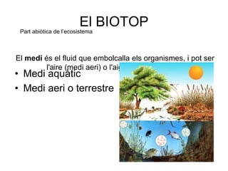El medi és el fluid que embolcalla els organismes, i pot ser
l'aire (medi aeri) o l'aigua (medi aquatic).
• Medi aquàtic
• Medi aeri o terrestre
El BIOTOP
Part abiòtica de l’ecosistema
 