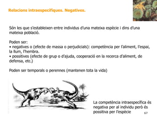 67
Relacions intraespecífiques. Negatives.
Són les que s’estableixen entre individus d’una mateixa espècie i dins d’una
mateixa població.
Poden ser:
• negatives o (efecte de massa o perjudicials): competència per l’aliment, l’espai,
la llum, l’hembra.
• possitives (efecte de grup o d’ajuda, cooperació en la recerca d’aliment, de
defensa, etc.)
Poden ser temporals o perennes (mantenen tota la vida)
La competència intraespecífica és
negativa per al individu però és
possitiva per l’espècie
 