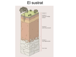 El sustrat
 