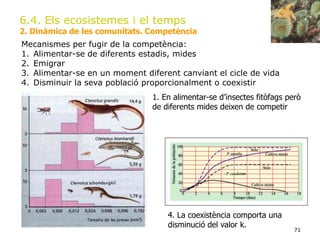 71
6.4. Els ecosistemes i el temps
2. Dinàmica de les comunitats. Competència
Mecanismes per fugir de la competència:
1. Alimentar-se de diferents estadis, mides
2. Emigrar
3. Alimentar-se en un moment diferent canviant el cicle de vida
4. Disminuir la seva població proporcionalment o coexistir
1. En alimentar-se d’insectes fitòfags però
de diferents mides deixen de competir
4. La coexistència comporta una
disminució del valor k.
 