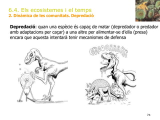 74
6.4. Els ecosistemes i el temps
2. Dinàmica de les comunitats. Depredació
Depredació: quan una espècie és capaç de matar (depredador o predador
amb adaptacions per caçar) a una altre per alimentar-se d’ella (presa)
encara que aquesta intentarà tenir mecanismes de defensa
 