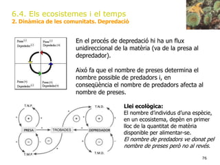 76
6.4. Els ecosistemes i el temps
2. Dinàmica de les comunitats. Depredació
En el procés de depredació hi ha un flux
unidireccional de la matèria (va de la presa al
depredador).
Aixó fa que el nombre de preses determina el
nombre possible de predadors i, en
conseqüència el nombre de predadors afecta al
nombre de preses.
Llei ecològica:
El nombre d’individus d’una espècie,
en un ecosistema, depèn en primer
lloc de la quantitat de matèria
disponible per alimentar-se.
El nombre de predadors ve donat pel
nombre de preses però no al revés.
 