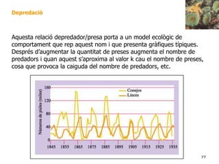 77
Depredació
Aquesta relació depredador/presa porta a un model ecològic de
comportament que rep aquest nom i que presenta gràfiques típiques.
Després d’augmentar la quantitat de preses augmenta el nombre de
predadors i quan aquest s’aproxima al valor k cau el nombre de preses,
cosa que provoca la caiguda del nombre de predadors, etc.
 