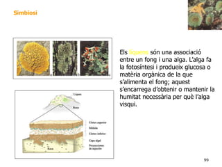 99
Simbiosi
Els líquens són una associació
entre un fong i una alga. L’alga fa
la fotosíntesi i produeix glucosa o
matèria orgànica de la que
s’alimenta el fong; aquest
s’encarrega d’obtenir o mantenir la
humitat necessària per què l’alga
visqui.
 