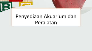 Penyediaan Akuarium dan
Peralatan
 