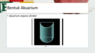 Bentuk Akuarium
• akuarium separa-silinder
 