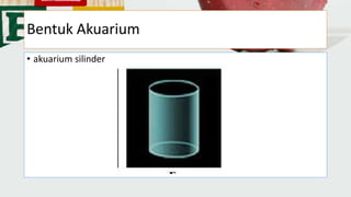 Bentuk Akuarium
• akuarium silinder
 