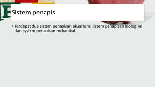 Sistem penapis
• Terdapat dua sistem penapisan akuarium: sistem penapisan biologikal
dan system penapisan mekanikal.
 