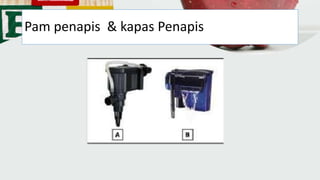 Pam penapis & kapas Penapis
 
