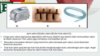 pam udara (A),batu udara (B) dan tiub udara (C).
• Fungsi pam udara (operasinya digerakkan oleh kuasa elektrik atau bateri) ialah memasukkan udara
ke dalam akuarium. Pam udara juga membantu menstabilkan pH air.
• Batuudara merupakan aksesori yang menerima udara daripada pam udara untuk disalurkan
keseluruh akuarium.
• Tiub-tiub udara yang berupa tiub-tiub plastik menghubungkan batu udaradengan pam angin. Angin
disalurkan daripada pam udara ke udara melalui tiub-tiub udara.
 