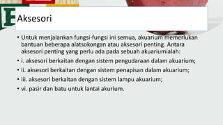 Aksesori
• Untuk menjalankan fungsi-fungsi ini semua, akuarium memerlukan
bantuan beberapa alatsokongan atau aksesori penting. Antara
aksesori penting yang perlu ada pada sebuah akuariumialah:
• i. aksesori berkaitan dengan sistem pengudaraan dalam akuarium;
• ii. aksesori berkaitan dengan sistem penapisan dalam akuarium;
• iii. aksesori berkaitan dengan sistem lampu akuarium;
• vi. pasir dan batu untuk lantai akurium.
 