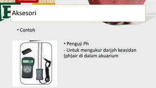 Aksesori
• Contoh
• Penguji Ph
- Untuk mengukur darjah keasidan
(ph)air di dalam akuarium
 