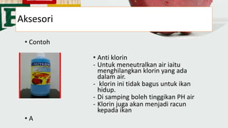 Aksesori
• Contoh
• Anti klorin
- Untuk meneutralkan air iaitu
menghilangkan klorin yang ada
dalam air.
- klorin ini tidak bagus untuk ikan
hidup.
- Di samping boleh tinggikan PH air
- Klorin juga akan menjadi racun
kepada ikan
• A
 