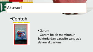 Aksesori
•Contoh
•Garam
- Garam boleh membunuh
bakteria dan parasite yang ada
dalam akuarium
 