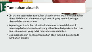 Tumbuhan akuatik
• Ciri utama kesesuaian tumbuhan akuatik untuk akuarium ialah tahan
hidup di dalam air danmempunyai bentuk yang menarik sebagai
hiasan dalaman akuarium.
• Kepentingan tumbuhan akuatik di dalam akuarium ialah untuk
menyerap bahan-bahan toksik yang dihasilkan dari perkumuhan ikan
dan sisi makanan yang tidak habis dimakan oleh ikan.
• Sisa makanan dan bahan perkumuhan akan menjadi baja kepada
tumbuhan akuatik
 