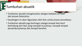 Tumbuhan akuatik
• Tumbuhan akuatik mengeluarkan oksigen kedalam air hasil
dari proses fotosistisis.
• Gasoksigen ini akan digunakan oleh ikan untuk proses pernafasan.
• Tumbuhan akuatik juga berfungsi sebagai tempat ikan kecil
berlindung dari ikan yang menjadi musuhnya, menjadi tempat
persembunyiannya dan tempat berehat.
 
