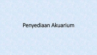 Penyediaan Akuarium
 