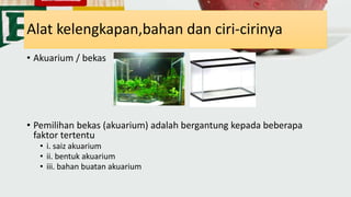 Alat kelengkapan,bahan dan ciri-cirinya
• Akuarium / bekas
• Pemilihan bekas (akuarium) adalah bergantung kepada beberapa
faktor tertentu
• i. saiz akuarium
• ii. bentuk akuarium
• iii. bahan buatan akuarium
 