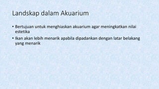 Landskap dalam Akuarium
• Bertujuan untuk menghiaskan akuarium agar meningkatkan nilai
estetika
• Ikan akan lebih menarik apabila dipadankan dengan latar belakang
yang menarik
 