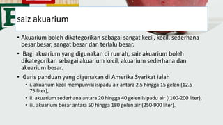 saiz akuarium
• Akuarium boleh dikategorikan sebagai sangat kecil, kecil, sederhana
besar,besar, sangat besar dan terlalu besar.
• Bagi akuarium yang digunakan di rumah, saiz akuarium boleh
dikategorikan sebagai akuarium kecil, akuarium sederhana dan
akuarium besar.
• Garis panduan yang digunakan di Amerika Syarikat ialah
• i. akuarium kecil mempunyai isipadu air antara 2.5 hingga 15 gelen (12.5 -
75 liter),
• ii. akuarium sederhana antara 20 hingga 40 gelen isipadu air ((100-200 liter),
• iii. akuarium besar antara 50 hingga 180 gelen air (250-900 liter).
 