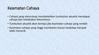 Keamatan Cahaya
• Cahaya yang mencukupi membolehkan tumbuhan akuatik mendapat
cahaya dan melakukan fotosintesis.
• Tumbuhan akuatik akan berlayu jika keamatan cahaya yang rendah
• Keamatan cahaya yang tinggi membantu hiasan landskap menjadi
lebih menarik.
 