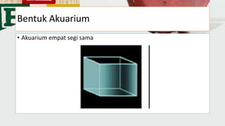 Bentuk Akuarium
• Akuarium empat segi sama
 