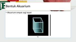 Bentuk Akuarium
• Akuarium empat segi tepat
 