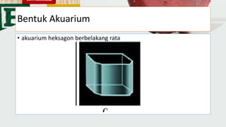 Bentuk Akuarium
• akuarium heksagon berbelakang rata
 