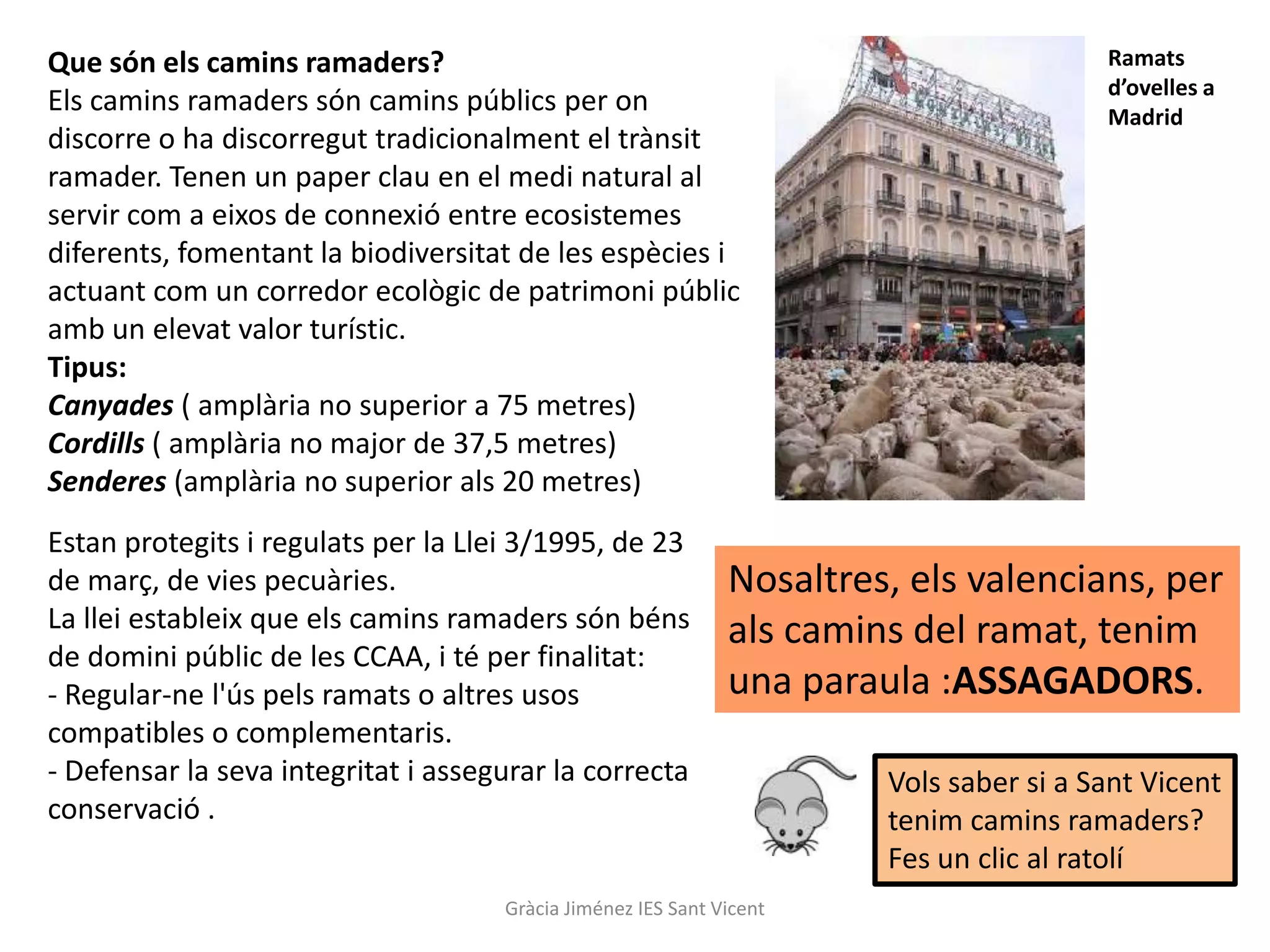 Que són els camins ramaders?                                                            Ramats
                                                                                        d’ovelles a
Els camins ramaders són camins públics per on                                           Madrid
discorre o ha discorregut tradicionalment el trànsit
ramader. Tenen un paper clau en el medi natural al
servir com a eixos de connexió entre ecosistemes
diferents, fomentant la biodiversitat de les espècies i
actuant com un corredor ecològic de patrimoni públic
amb un elevat valor turístic.
Tipus:
Canyades ( amplària no superior a 75 metres)
Cordills ( amplària no major de 37,5 metres)
Senderes (amplària no superior als 20 metres)
Estan protegits i regulats per la Llei 3/1995, de 23
de març, de vies pecuàries.                                   Nosaltres, els valencians, per
La llei estableix que els camins ramaders són béns            als camins del ramat, tenim
de domini públic de les CCAA, i té per finalitat:
- Regular-ne l'ús pels ramats o altres usos                   una paraula :ASSAGADORS.
compatibles o complementaris.
- Defensar la seva integritat i assegurar la correcta                  Vols saber si a Sant Vicent
conservació .                                                          tenim camins ramaders?
                                                                       Fes un clic al ratolí
                                     Gràcia Jiménez IES Sant Vicent
 