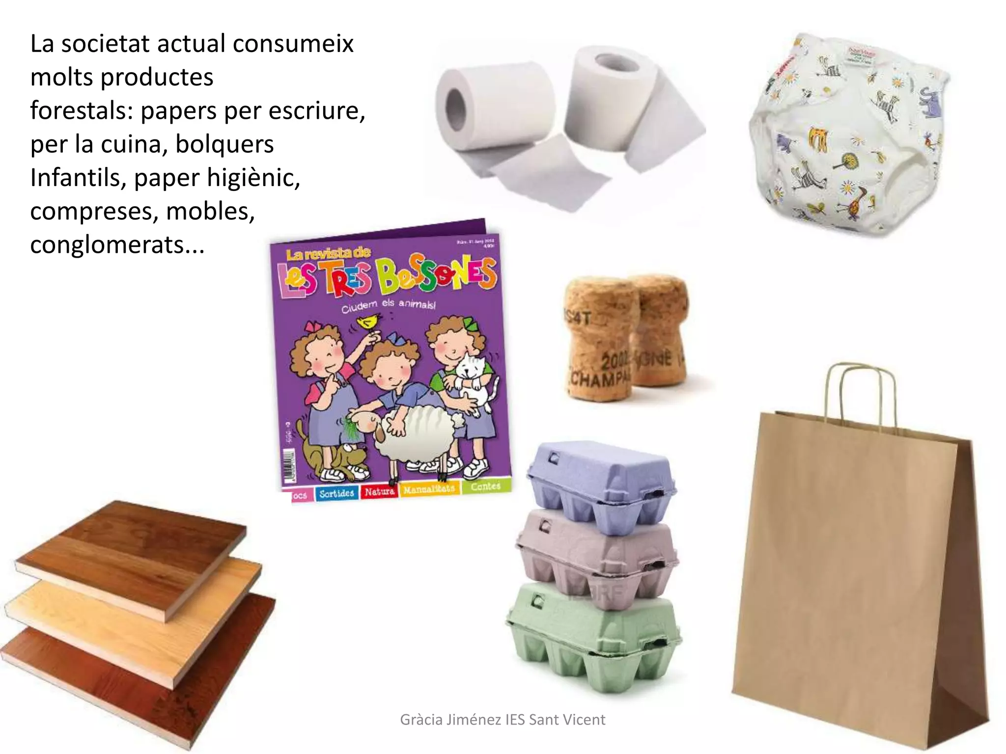La societat actual consumeix
molts productes
forestals: papers per escriure,
per la cuina, bolquers
Infantils, paper higiènic,
compreses, mobles,
conglomerats...




                                  Gràcia Jiménez IES Sant Vicent
 