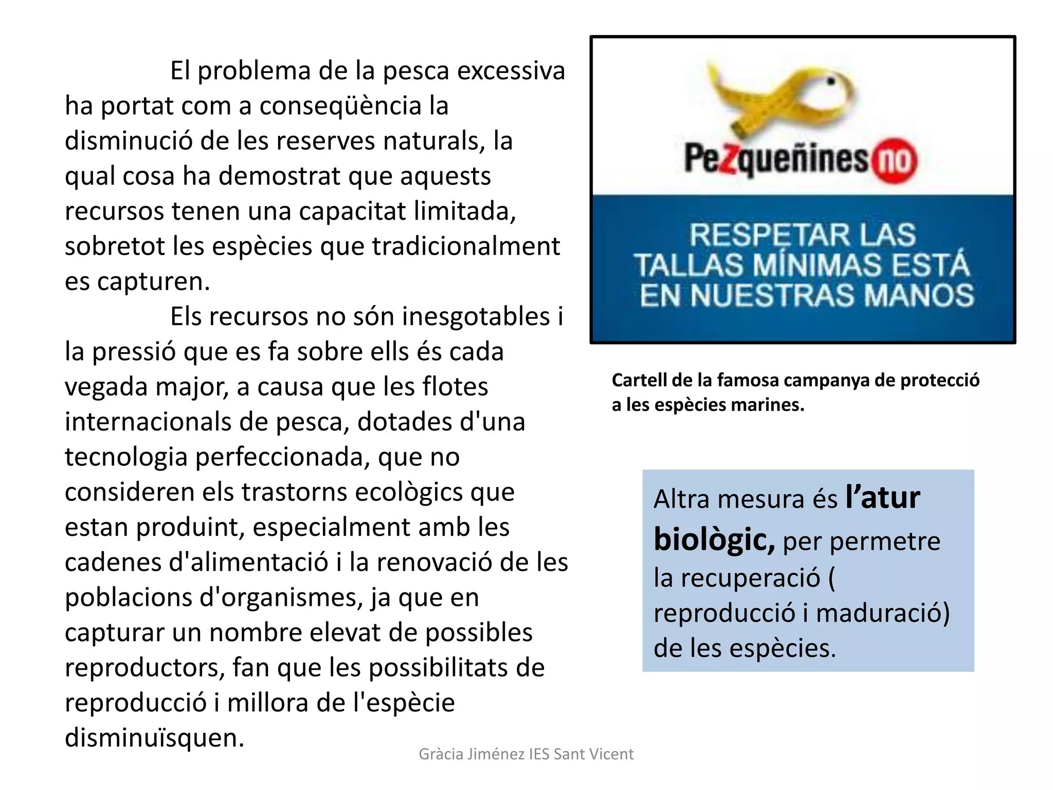 El problema de la pesca excessiva
ha portat com a conseqüència la
disminució de les reserves naturals, la
qual cosa ha demostrat que aquests
recursos tenen una capacitat limitada,
sobretot les espècies que tradicionalment
es capturen.
          Els recursos no són inesgotables i
la pressió que es fa sobre ells és cada
vegada major, a causa que les flotes                       Cartell de la famosa campanya de protecció
                                                           a les espècies marines.
internacionals de pesca, dotades d'una
tecnologia perfeccionada, que no
consideren els trastorns ecològics que                           Altra mesura és l’atur
estan produint, especialment amb les                             biològic, per permetre
cadenes d'alimentació i la renovació de les
                                                                 la recuperació (
poblacions d'organismes, ja que en
                                                                 reproducció i maduració)
capturar un nombre elevat de possibles
                                                                 de les espècies.
reproductors, fan que les possibilitats de
reproducció i millora de l'espècie
disminuïsquen.                  Gràcia Jiménez IES Sant Vicent
 